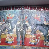 Cumpar obiecte cu tematica circ doar vechi